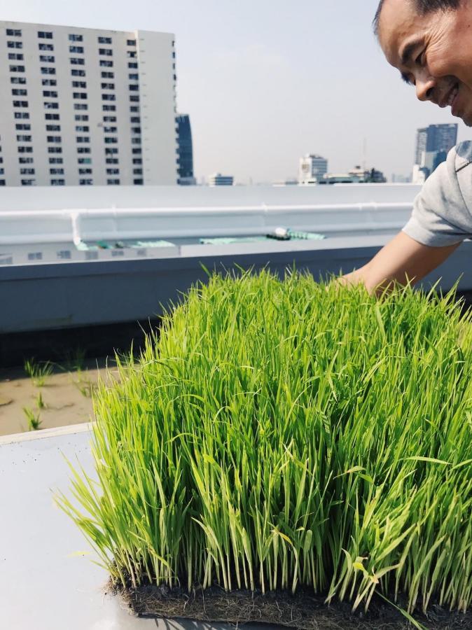 Siamplaengna Residence สยามแปลงนา เรสซิเดนท์ バンコク都 エクステリア 写真